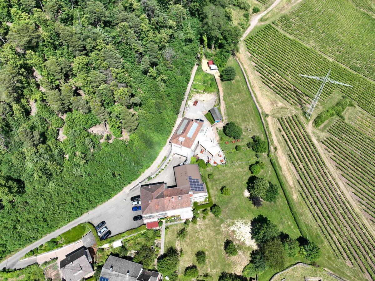 Hotel Berghof Albersweiler Εξωτερικό φωτογραφία
